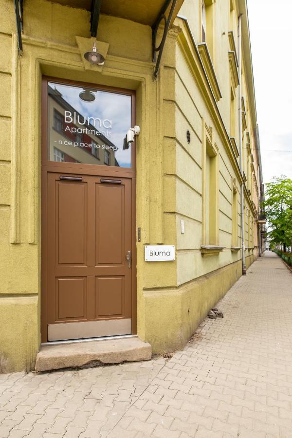 Apartamenty Bluma Krakow Dış mekan fotoğraf